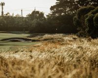 RoyalMelbourneGolfClub_East10-18_WilliamWatt-23